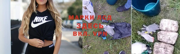 ешки Вяземский