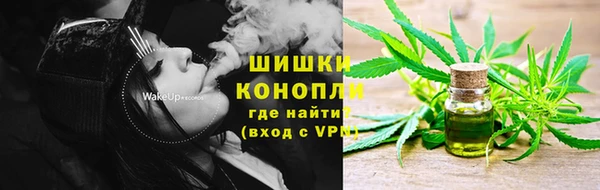 ешки Вяземский