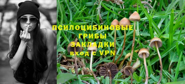 ешки Вяземский