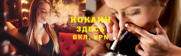 ешки Вяземский