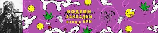 ешки Вяземский