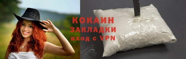 ешки Вяземский
