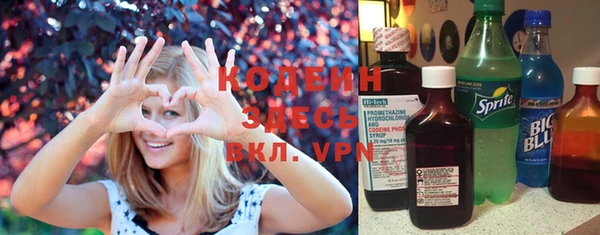 ешки Вяземский
