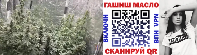 Дистиллят ТГК концентрат Купить где Сорочинск